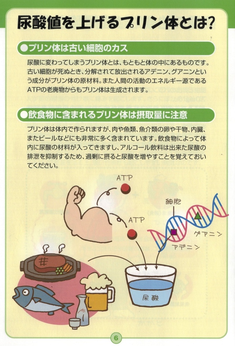 尿酸値を上げるプリン体とは 春日駅前あべファミリークリニック 尿酸値を上げるプリン体とは 春日駅前あべファミリークリニック