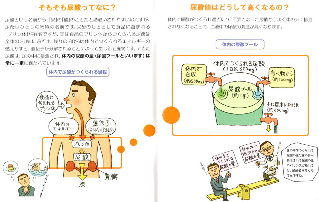 勃起不全に最適なアルギニン